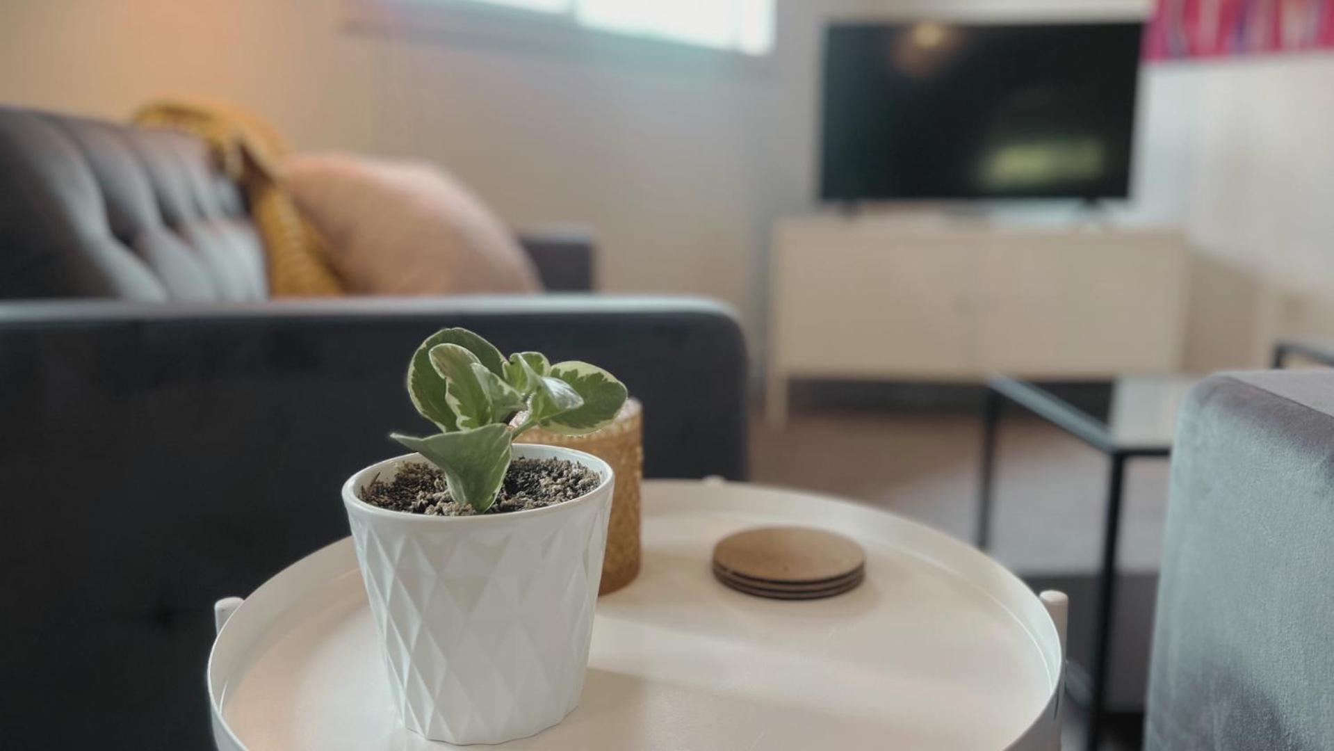 Fieldstone Guesthouse 克利尔沃特 外观 照片